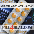 Kamagra Oral Jelly Sildenafil levitra1